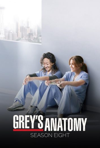 مسلسل Grey’s Anatomy موسم 8 كامل