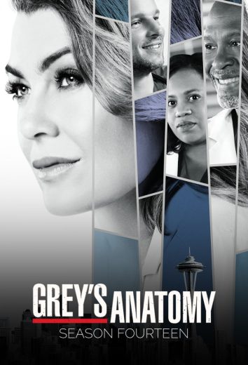 مسلسل Grey’s Anatomy موسم 14 كامل