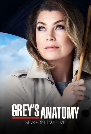 مسلسل Grey’s Anatomy موسم 12 كامل